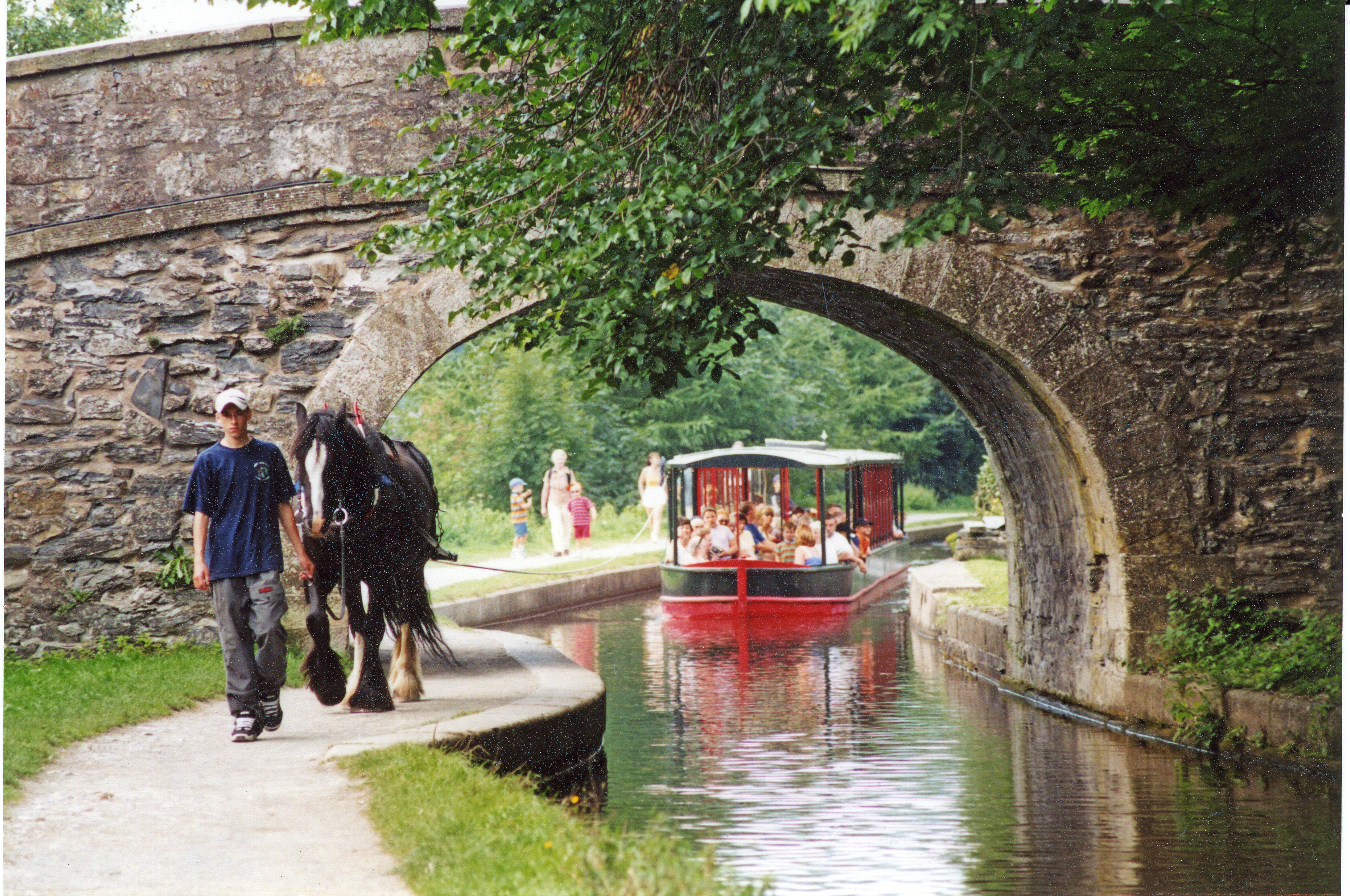 boat trips