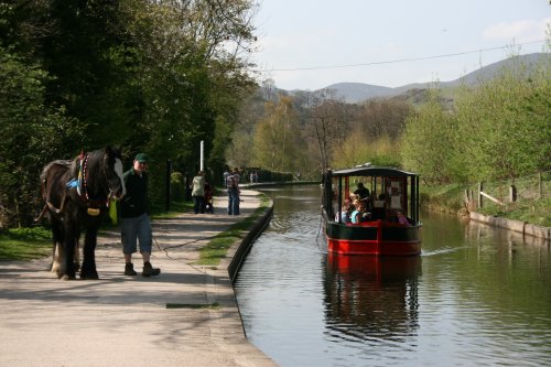 Horse Drawn Boat Trips