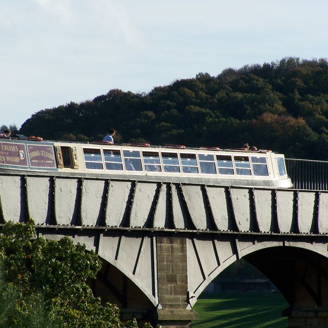 boat trips