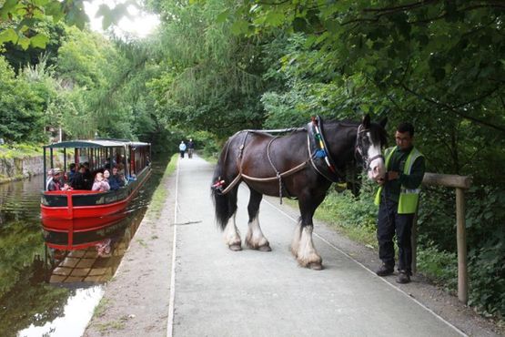 horse drawn canal trips llangollen