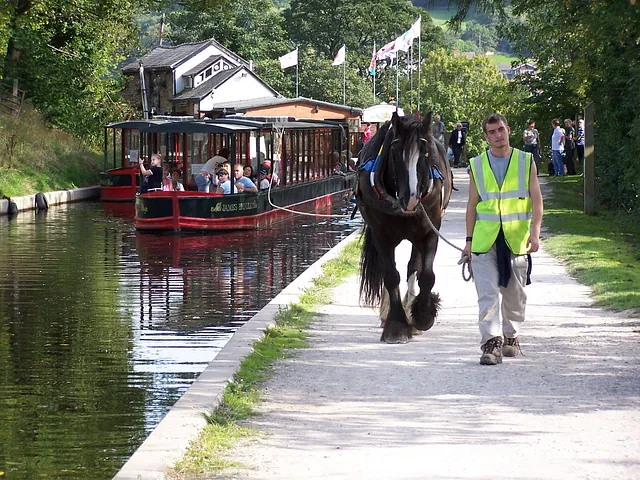 man drawing boat by horse
