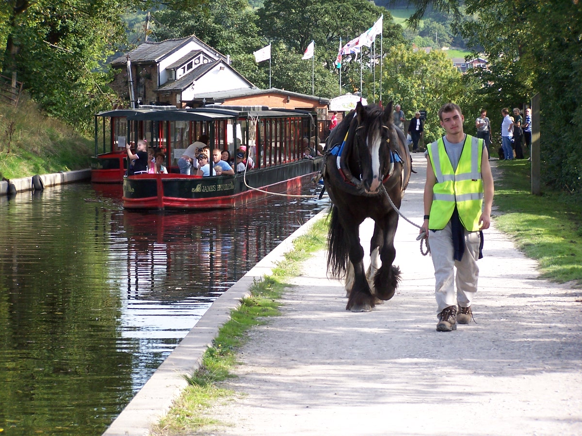 man drawing boat by horse